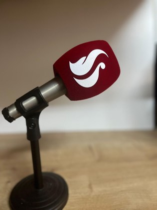 Üçgen Mikrofon Süngeri örnek uygulama görseli #4